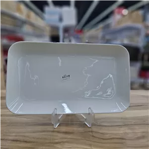 203-4  دیس سرامیک