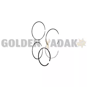 رینگ موتور سمند