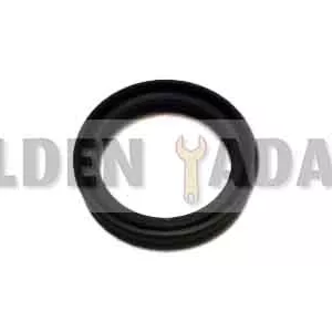 کاسه نمد پلوس دانگ فنگ H30 کراس