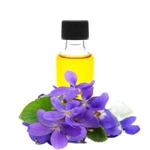 روغن بنفشه