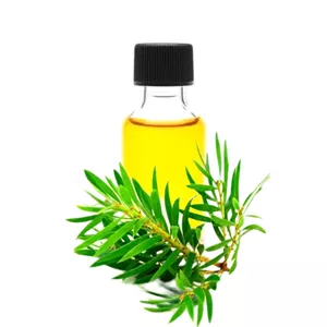روغن درخت چای