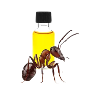 روغن مورچه