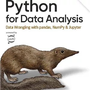 کتاب پایتون برای تجزیه وتحلیل داده ها(ویراست3)(Python for Data Analysis )