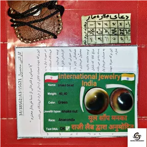 مهره مار آناکوندا