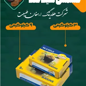 کشمش تیزابی 3 کیلویی سیلا گلد