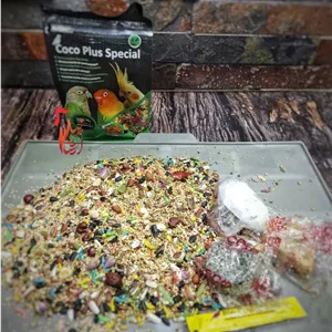 آجیلی طوطی سانان متوسط و کوچک کوکو پلاس (حداقل 10 عدد)