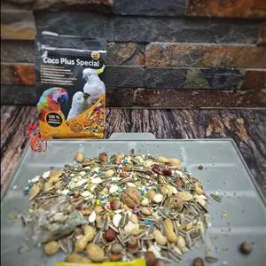 غذای آجیلی کاسکو طوطی آرا کاکادو کوکو پلاس