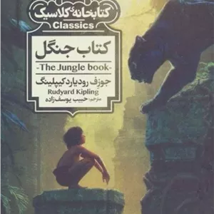 کتابخانه ی کلاسیک مبلمان نارنجی مدل 520291