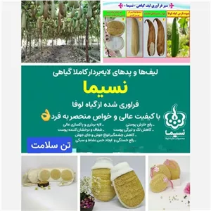 لیف لوفا نسیما بزرگ مبلمان نارنجی مدل 528228