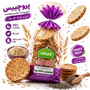 نان چیپسی رژیمی طعم دار حاوی جو دوسر و دانه چیا هم دانه