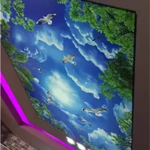 آسمان مجازی آسمان شب (سقف کشسان چاپی)