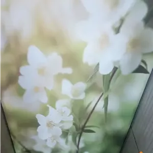 آسمان مجازی گل و شکوفه گل و شکوفه ( سقف کشسان چاپی)