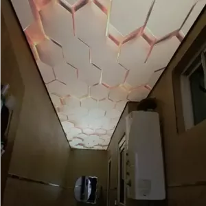 آسمان مجازی سه بعدی ( سقف کشسان سه بعدی)