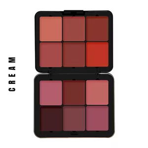 پالت رژگونه چرب/پودری فیوچر میکاپ FUTUER MAKEUP Blusher Cream Palette/POWDER FU102
