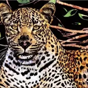 نقاشی خراشیدنی پلنگ (سایز A3)
