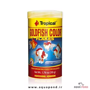 گلدفیش کالر پولکی تروپیکال