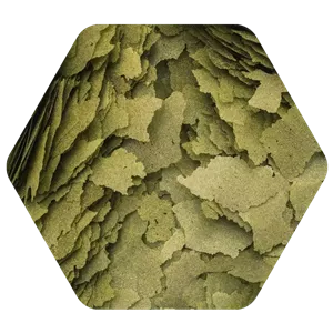 پولکی 3 جلبک تروپیکال غذای ماهی آب شیرین و آبشور