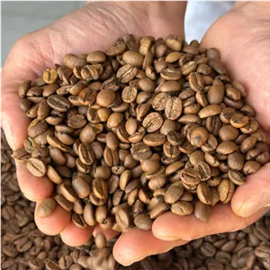 دان قهوه میکس 70% عربیکا 