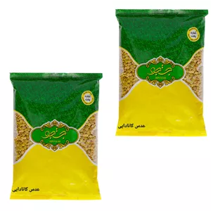 عدس کانادایی جستجو - 900 گرم مجموعه 2 عددی