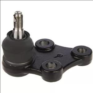 سیبک طبق ولکس