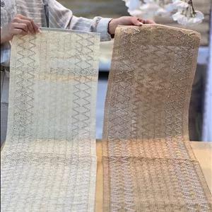 رانر رافیای زیگزاگی