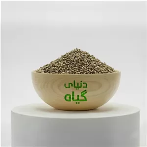 شاهدانه درشت