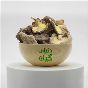 قارچ شیتاکه