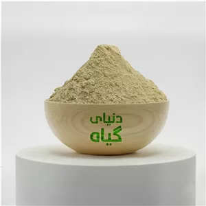 پودر زنجبیل