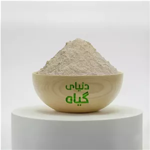 پودر پیاز
