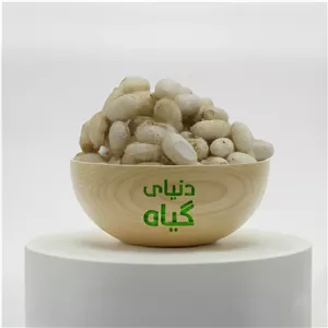 پیله ابریشم