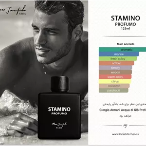 عطر مردانه استامینو پروفومو | STAMINO Profumo | ادو پرفیوم 100 میل