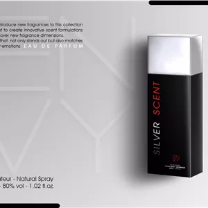 عطر مردانه ان وی سیلور سنت | Envy Silver Scent | ادوپرفیوم 30 میل و 100 میل