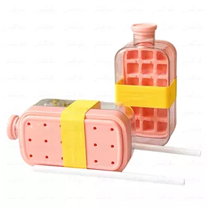 بطری آب و قالب یخ دوکاره ۸۰۰ میل نی دار | Cool Ice Cube Box