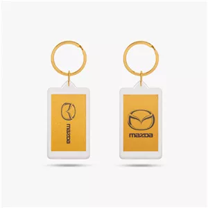 جاسوئیچی مزدا پلکسی