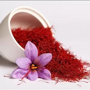 تحقیق همه چیز در مورد زعفران