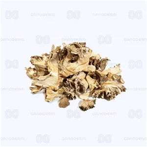 قارچ مایتاکه (Maitake)