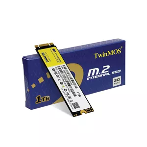 اس اس دی اینترنال تویین موس M.2 SATA ظرفیت 1 ترابایت