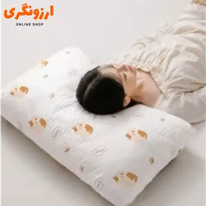 روبالشتی ضد باکتری ( خارجی ) ۱۰ عددی