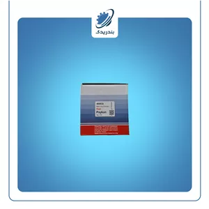 لنت عقب پیکان 405532 فرانتک