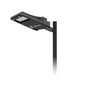 خیابانی ۳۰ وات طبیعی گلنور سهیل