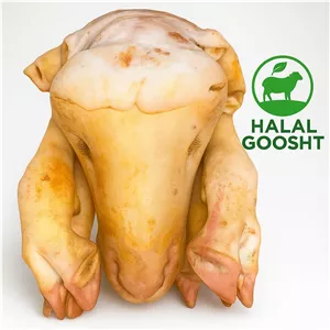کله پاچه گوسفندی