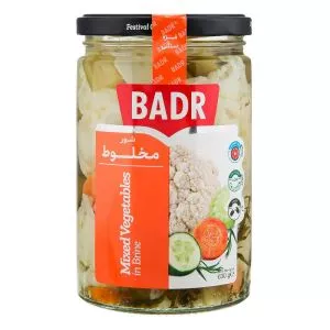 شور مخلوط 630 گرم بدر