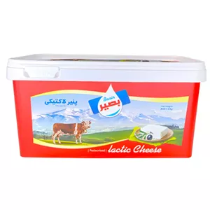 بصیر پنیر لاکتیکی 800گ