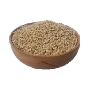 گندم فله