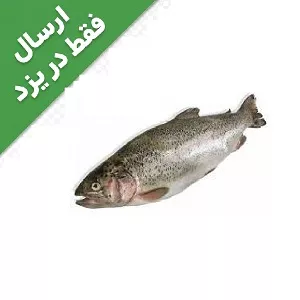 ماهی سالمون
