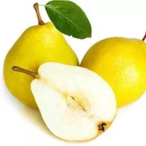 گلابی اعلا