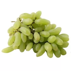انگورریش بابا