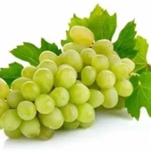 انگور ارومیه