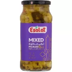 اصالت ترشی شورمخلوط 570گ
