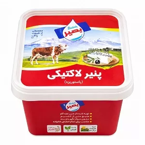 بصیر پنیر لاکتیکی 400گ